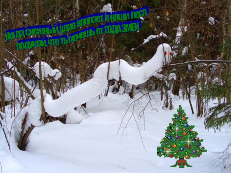 Когда  снежный  удав  вползет  в  наши  леса, подумай,